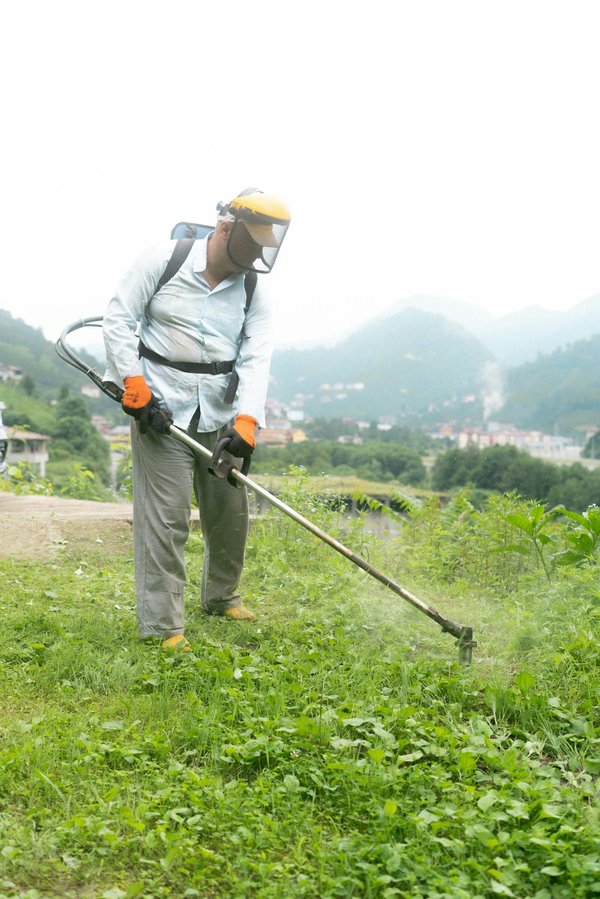 Les débroussailleuses incontournables pour un jardin parfait en 2025